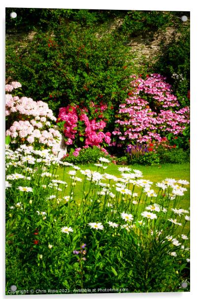 Walled garden border flowerbed Acrylic by Chris Rose