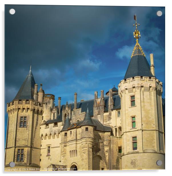 Chateau de Saumur Acrylic by Chris Rose