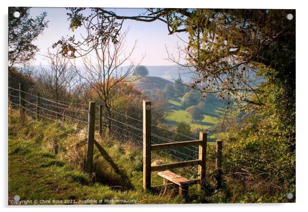 Uley Bury stile Acrylic by Chris Rose