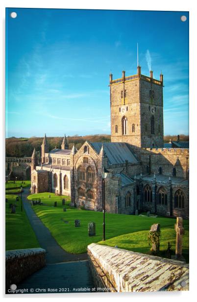 St Davids Cathedral Acrylic by Chris Rose