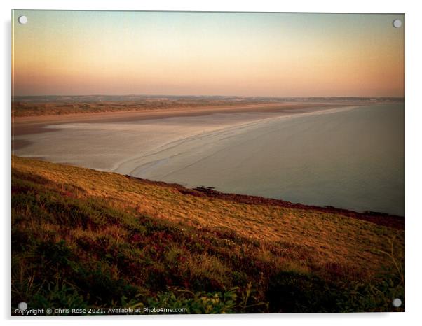 Braunton Burrows Acrylic by Chris Rose