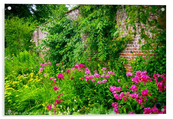 Colouful summer garden border Acrylic by Chris Rose