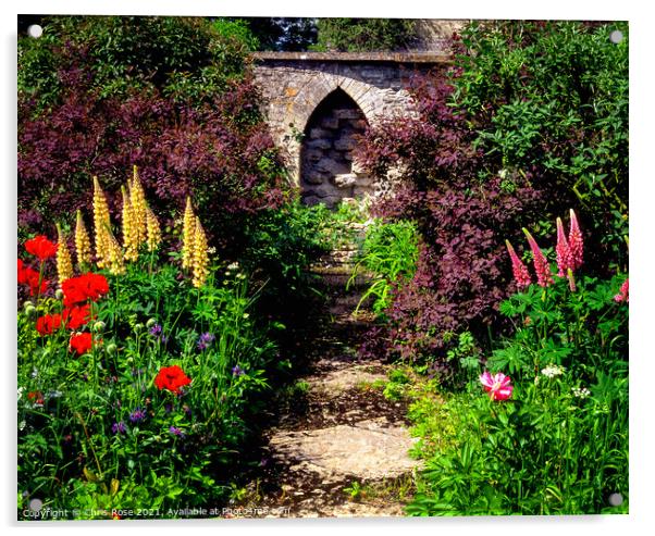 Summer colour garden borders Acrylic by Chris Rose