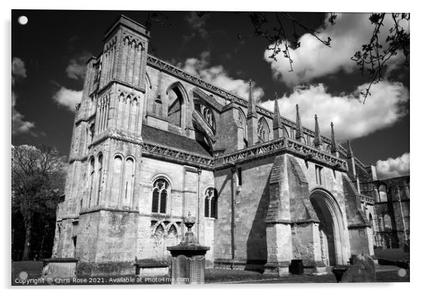 Malmesbury Abbey Acrylic by Chris Rose