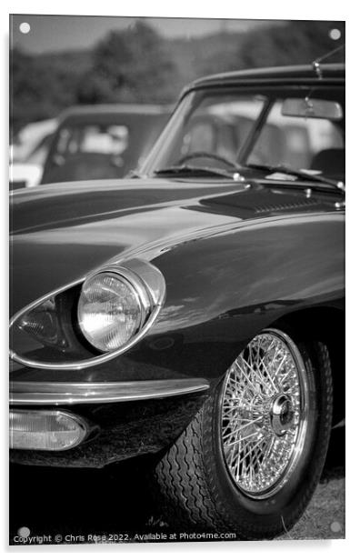 Jaguar E Type detail Acrylic by Chris Rose