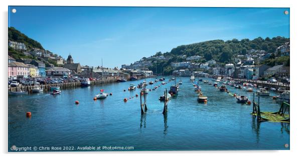 River Looe in summer sunshine Acrylic by Chris Rose