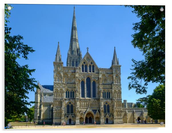 Salisbury Cathedral Acrylic by Chris Rose