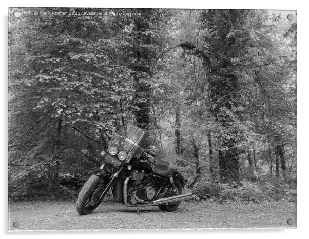 A Triumph Thunderbird Storm motorcycle parked beneath trees on a sunny day, in mono Acrylic by Mark Rosher