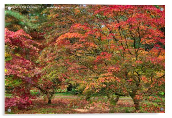 Acer Explosion Acrylic by Mark Rosher