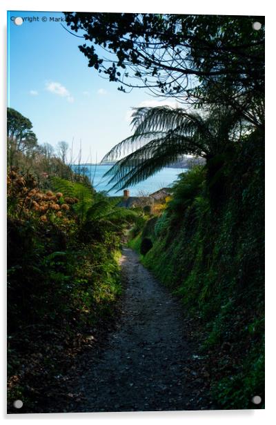 The Path to Glendurgan Bay Acrylic by Mark Rosher