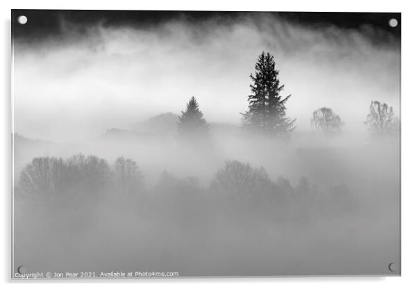 Trees in Mist Acrylic by Jon Pear