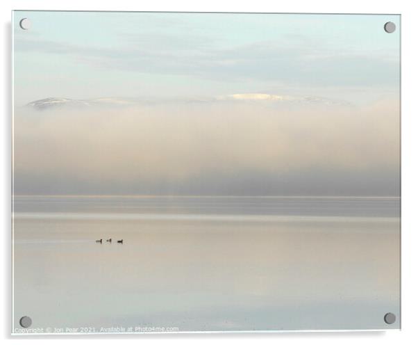 Pochards in the Mist  Acrylic by Jon Pear