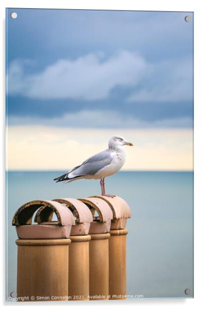 Seagulls, Ramsgate Acrylic by Simon Connellan