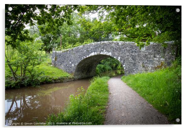 Brecon Monmouth Canal Acrylic by Simon Connellan