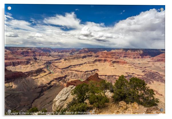 The Vast Wonder of Grand Canyon Acrylic by Pierre Leclerc Photography