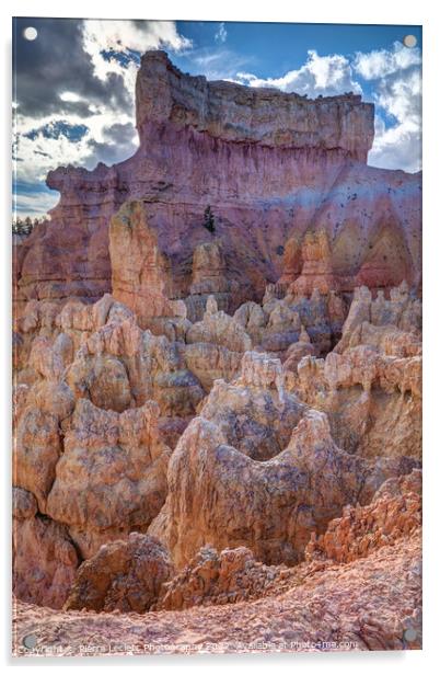 Bryce Canyon Rainbow Hoodoos Acrylic by Pierre Leclerc Photography