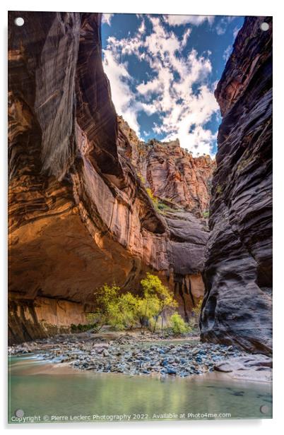 Walking in the Virgin river of Zion Acrylic by Pierre Leclerc Photography