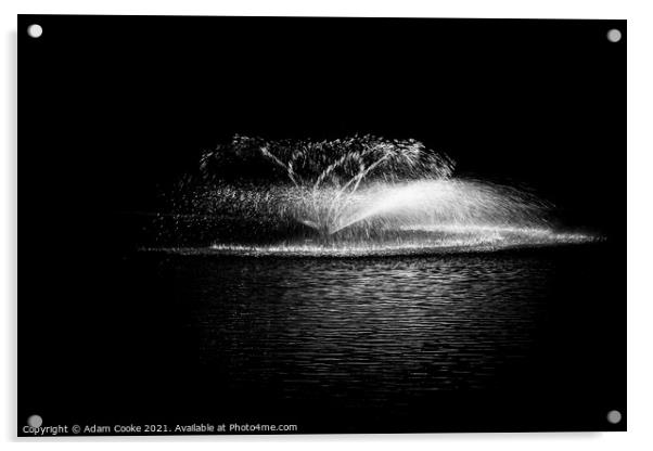 Water Fountain - Black & White | Hever Castle Acrylic by Adam Cooke