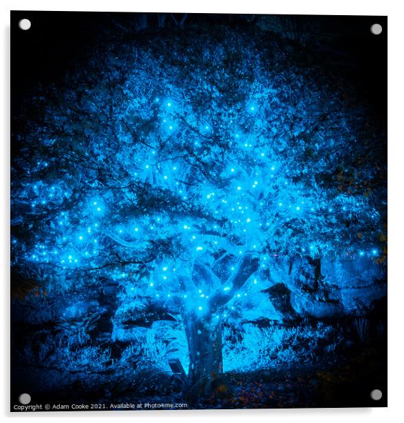 Illuminated Blue Tree | Hever Castle Acrylic by Adam Cooke