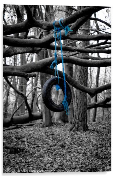 Tyre Swing | Limpsfield Common Acrylic by Adam Cooke