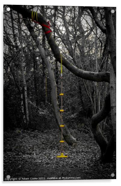 Rope Swing | Selsdon Wood Nature Reserve Acrylic by Adam Cooke