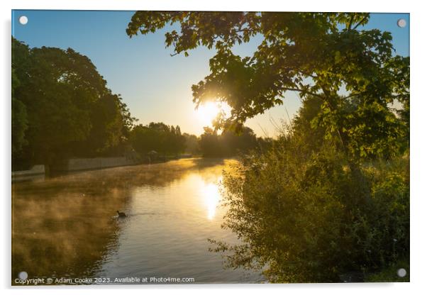 River Thames | Abingdon Acrylic by Adam Cooke