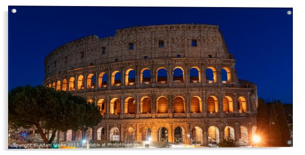 Colosseum | Rome | Italy Acrylic by Adam Cooke