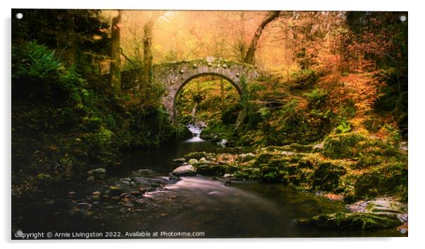 Foleys bridge Tollymore Acrylic by Arnie Livingston