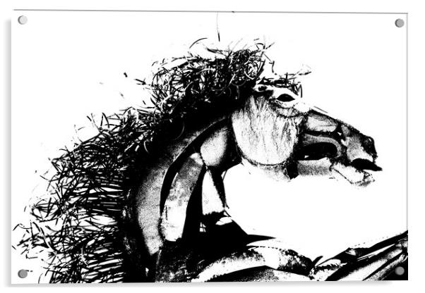 Ebony Stallion Acrylic by Tony Mumolo
