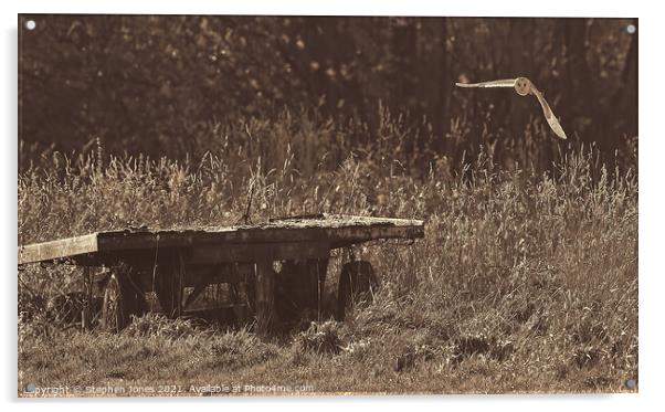 The Old Apple Cart Acrylic by Ste Jones