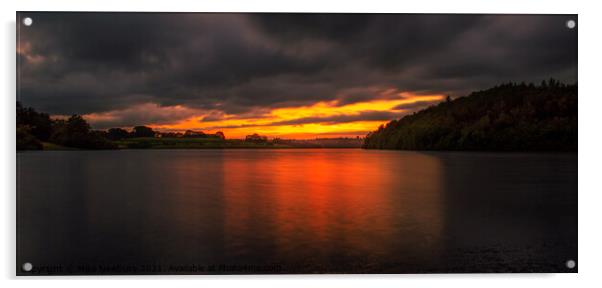 Bewl Water Sunset Acrylic by Bear Newbury