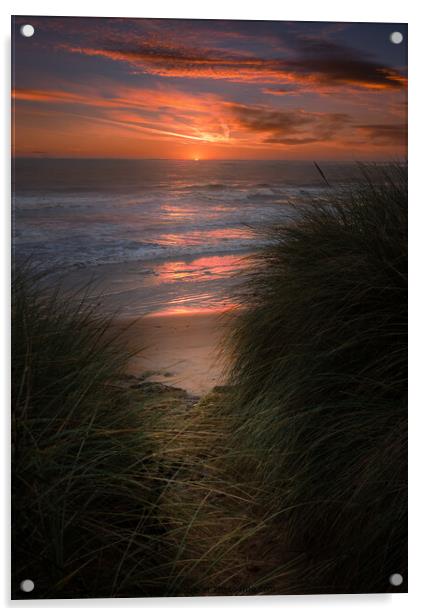 Hauxley Dunes Sunrise Acrylic by Bear Newbury