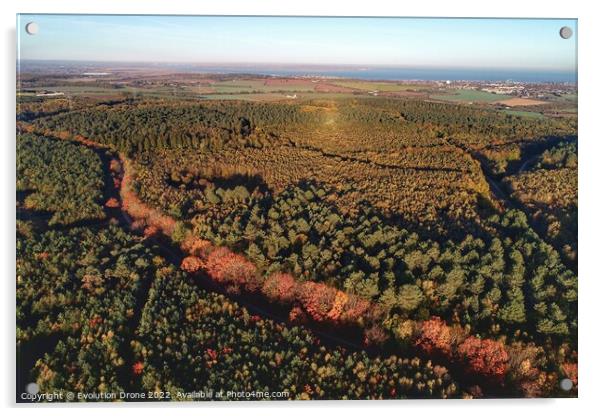 Autumnal Path Acrylic by Evolution Drone