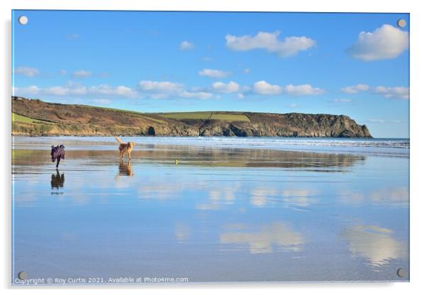 Carne Beach Reflections. Acrylic by Roy Curtis