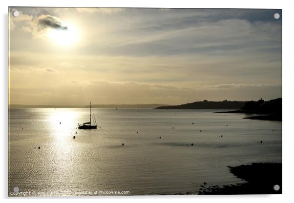 St. Mawes Silhouette Acrylic by Roy Curtis