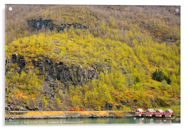 Flam - Houses on the Fjord. Acrylic by Roy Curtis