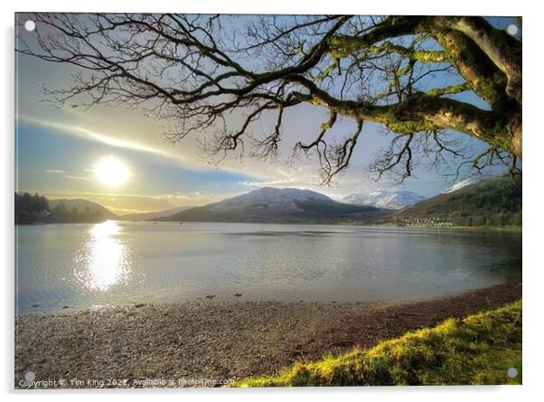 Evening Sun Lochgoilhead Acrylic by Tim King