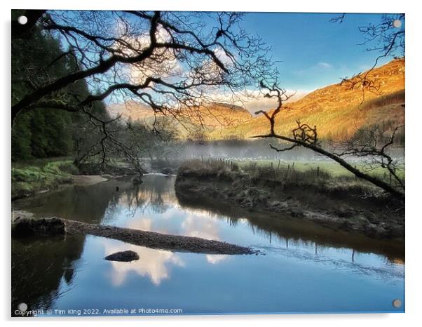 River Mist  Acrylic by Tim King