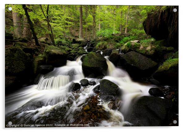 Wyming Brook Nature Reserve, Sheffield. Acrylic by Duncan Spence