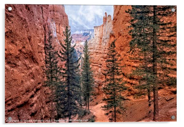 Navajo Trail Acrylic by Donna Kennedy