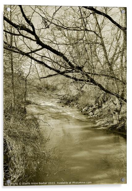 River Avon Warwickshire Acrylic by Elaine Anne Baxter