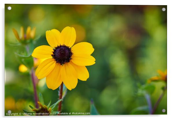 Yellow flower in a field Acrylic by Viktoriia Novokhatska