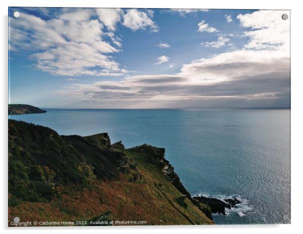 Cornish clifftop  Acrylic by Catherine Hooke