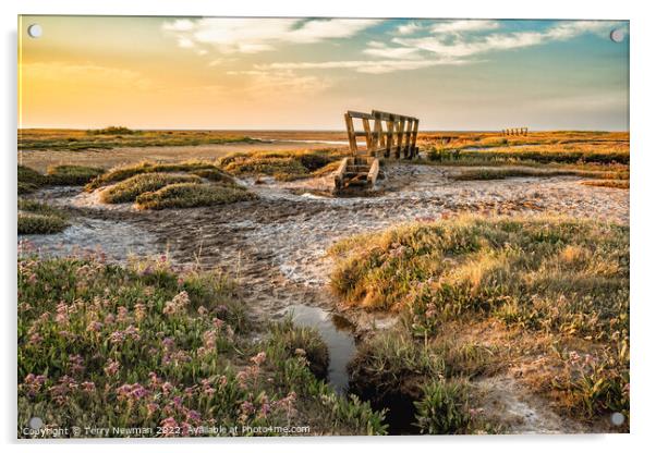 Stiffkey Saltmarshes Norfolk Acrylic by Terry Newman