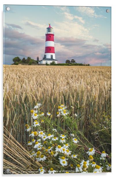 Happisburgh Lighthouse at Sunset Acrylic by Terry Newman