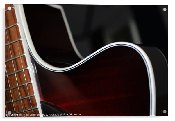 Guitar Curves 2 Acrylic by Philip Lehman