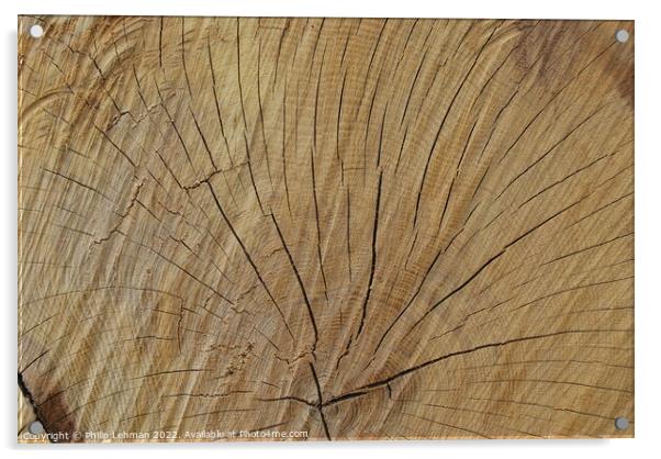 Cut Oak 3 Acrylic by Philip Lehman