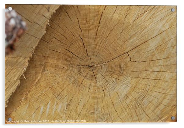 Cut Oak 1 Acrylic by Philip Lehman