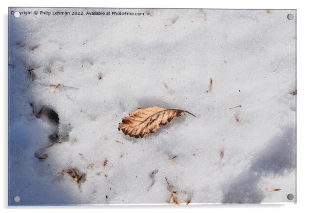 The Lone Leaf (1) Acrylic by Philip Lehman