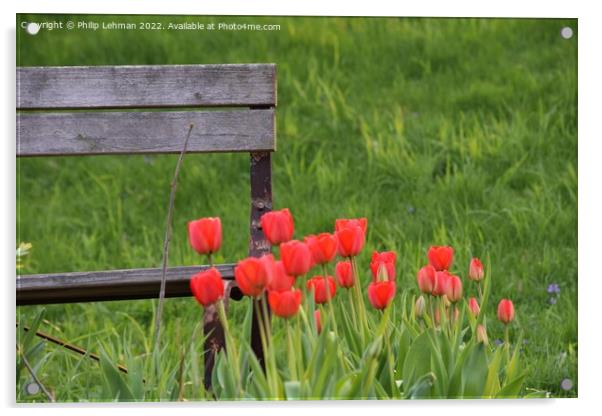Tulip Garden (19A) Acrylic by Philip Lehman